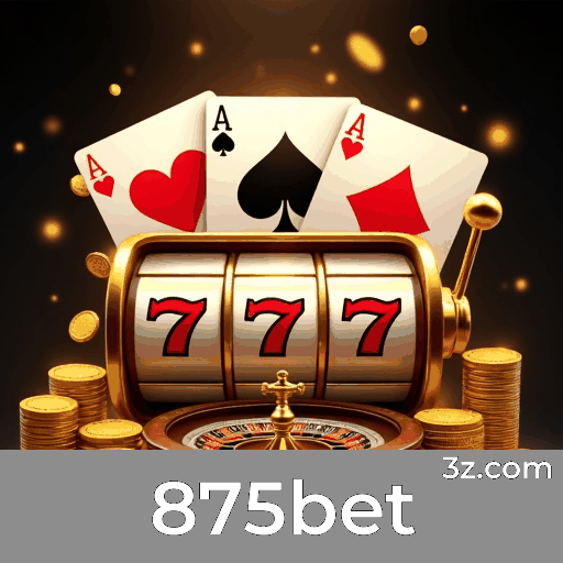 Experiência Profissional e Segurança na Plataforma 875bet